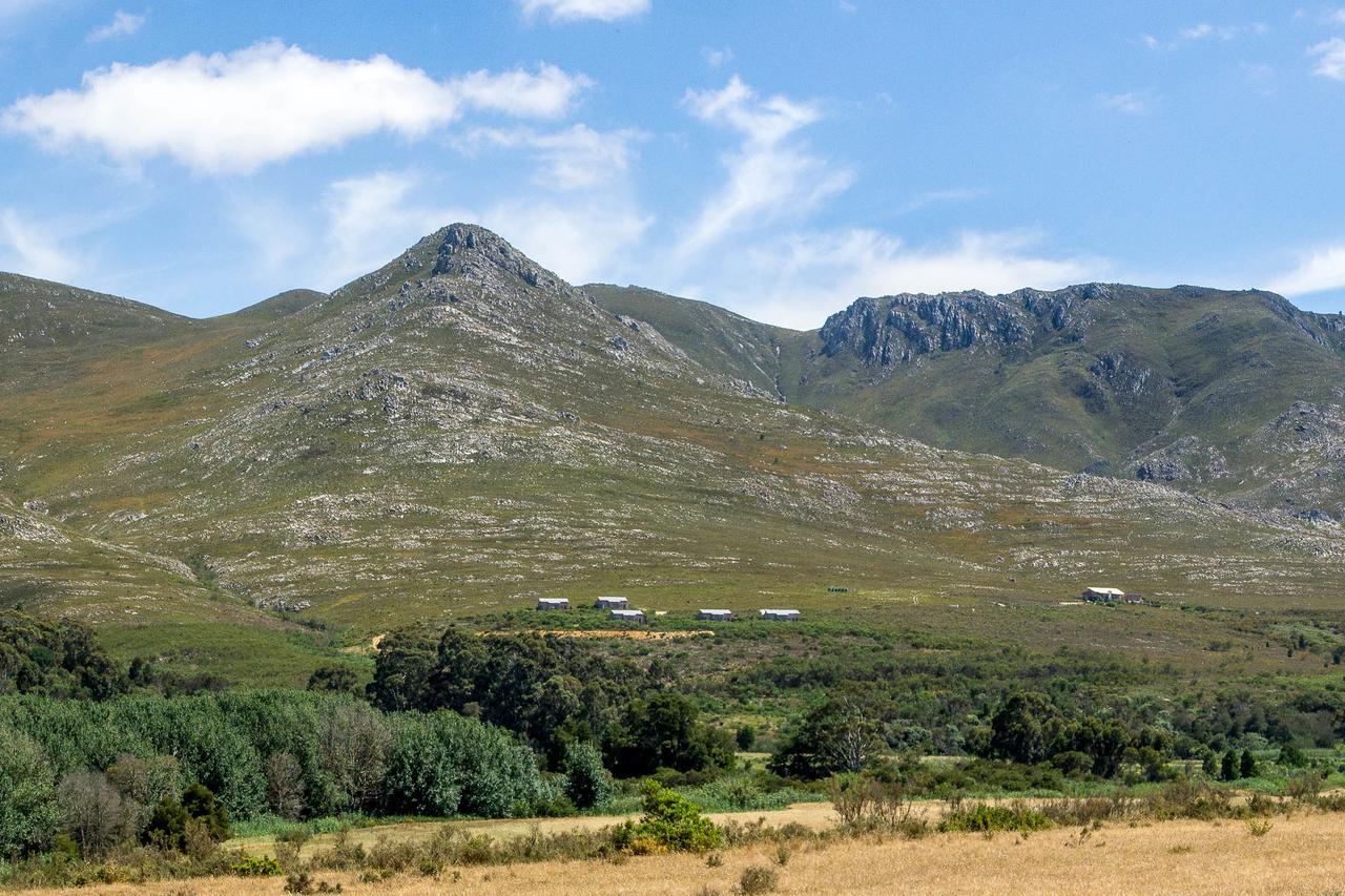 Phillipskop Mountain Reserve Stanford Eksteriør billede
