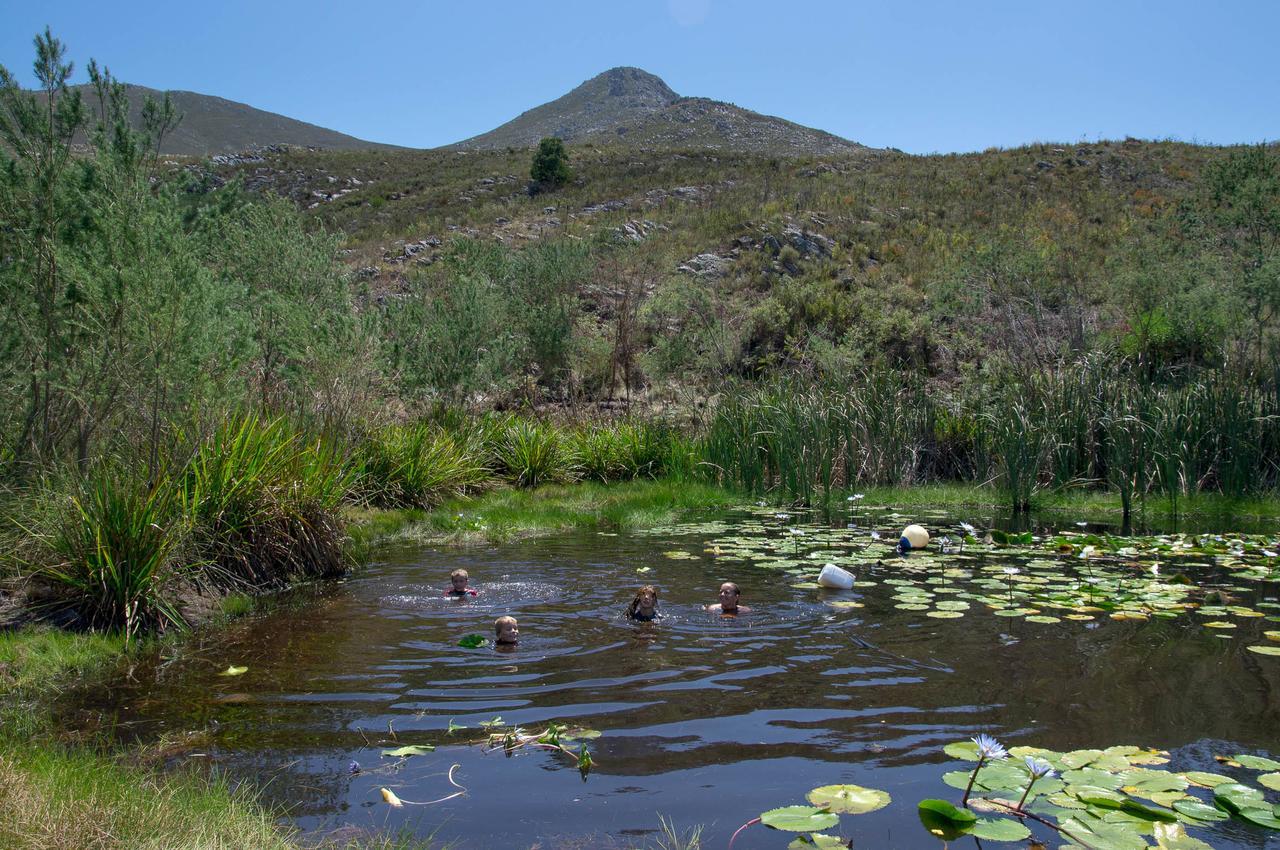 Phillipskop Mountain Reserve Stanford Eksteriør billede