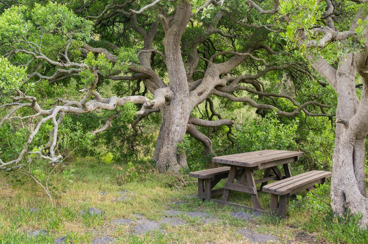 Phillipskop Mountain Reserve Stanford Eksteriør billede