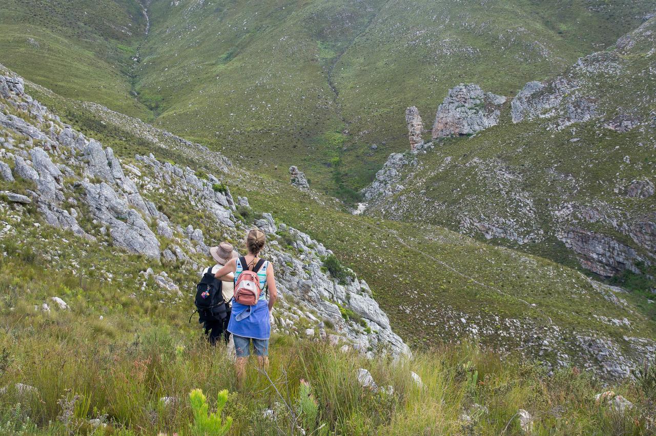 Phillipskop Mountain Reserve Stanford Eksteriør billede